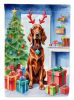 Irish Setter Christmas Reindeer Garden Flag Mailbox Flag Decorative Yard Flag Banner Outside Patio Artwork Yard Flower Beds, Garden Size, Multicolor
